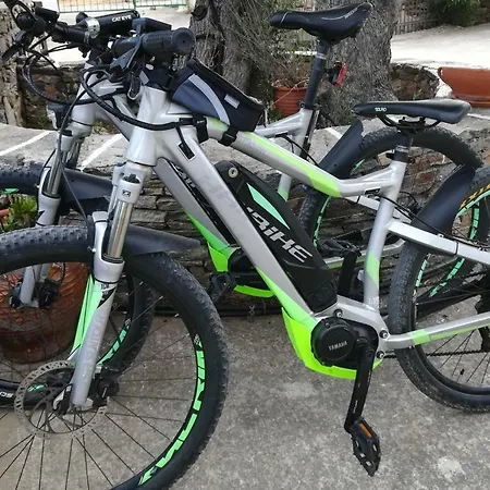 Blue Fish * Platis Gialos (Sifnos)