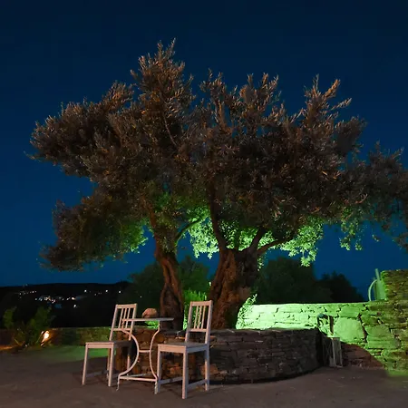 Blue Fish Platis Gialos (Sifnos)