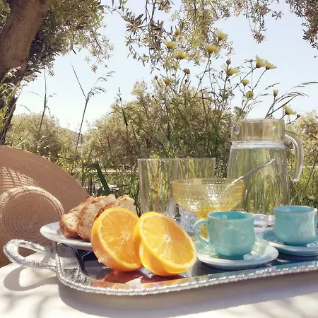 Apartamento Blue Fish Platis Gialos (Sifnos)